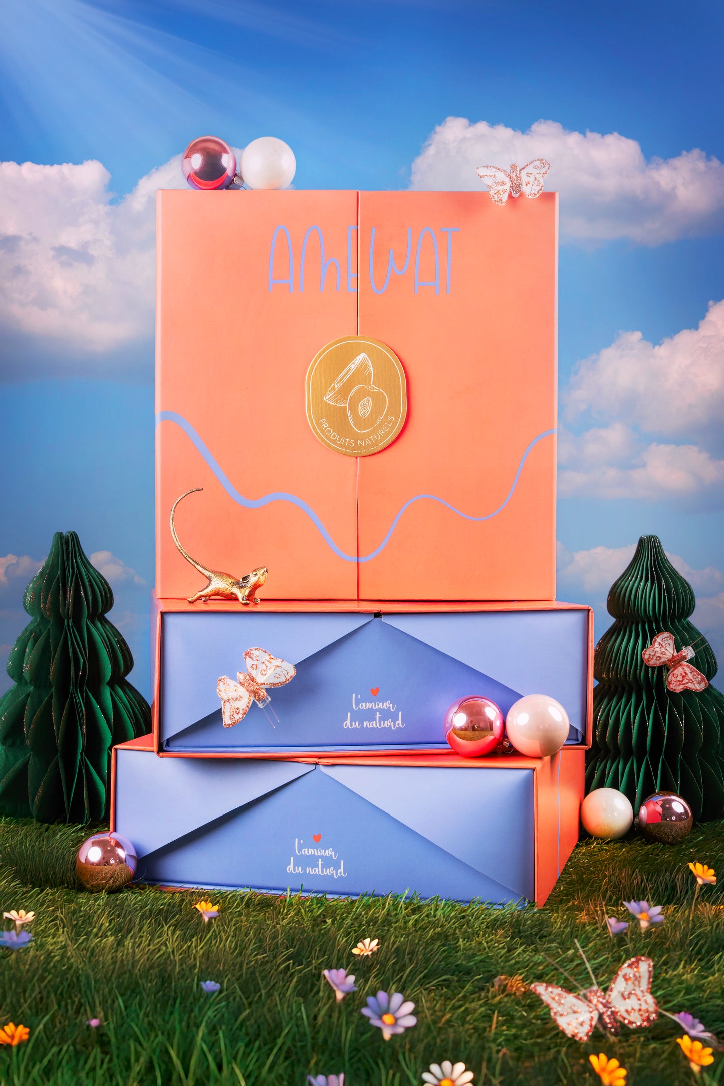 🎁🎄Coffret de Noël Edition limitée 🎄🎁