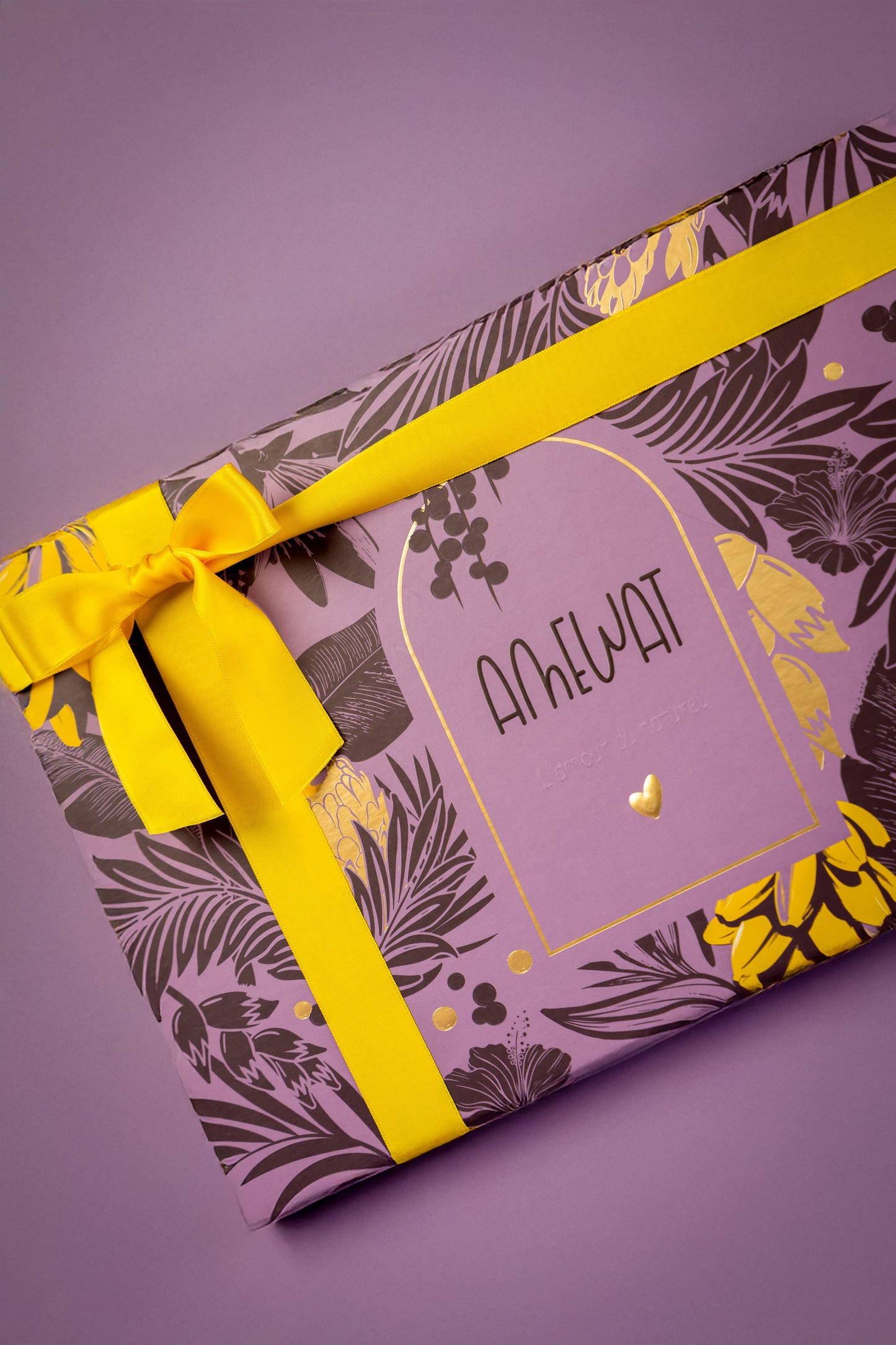 🎁✨Coffret de Noël Grand Amewat Hôtel - Edition Wassai🫐💜