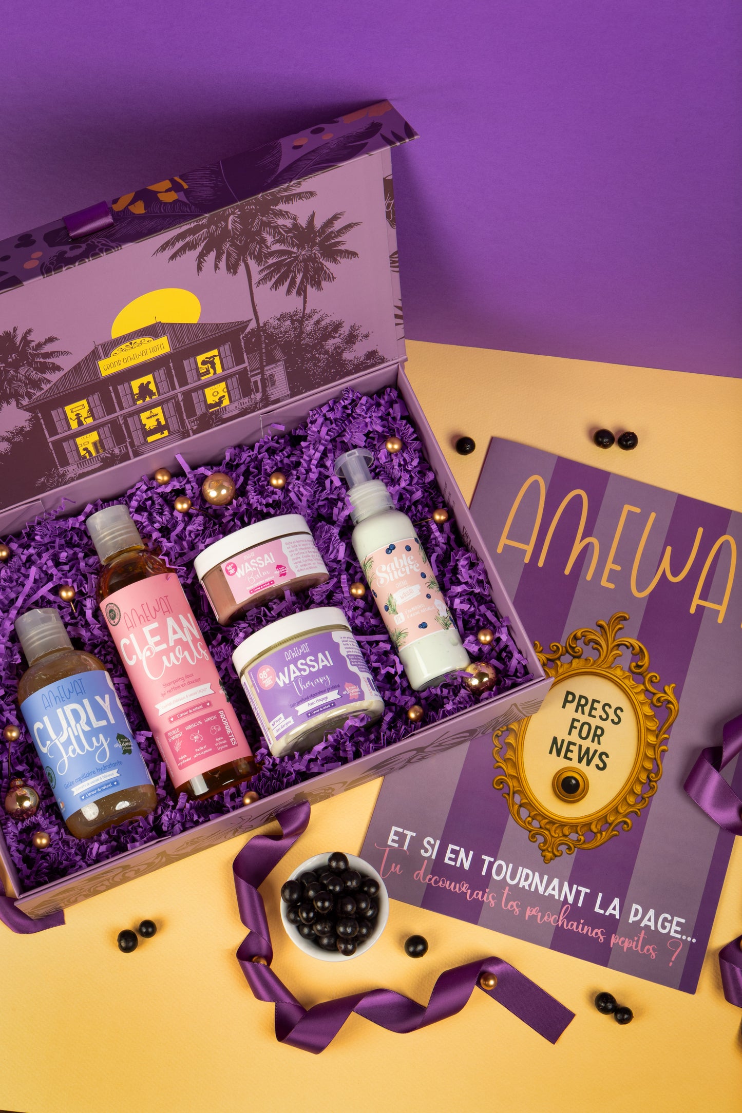 🎁✨Coffret de Noël Grand Amewat Hôtel - Edition Wassai🫐💜